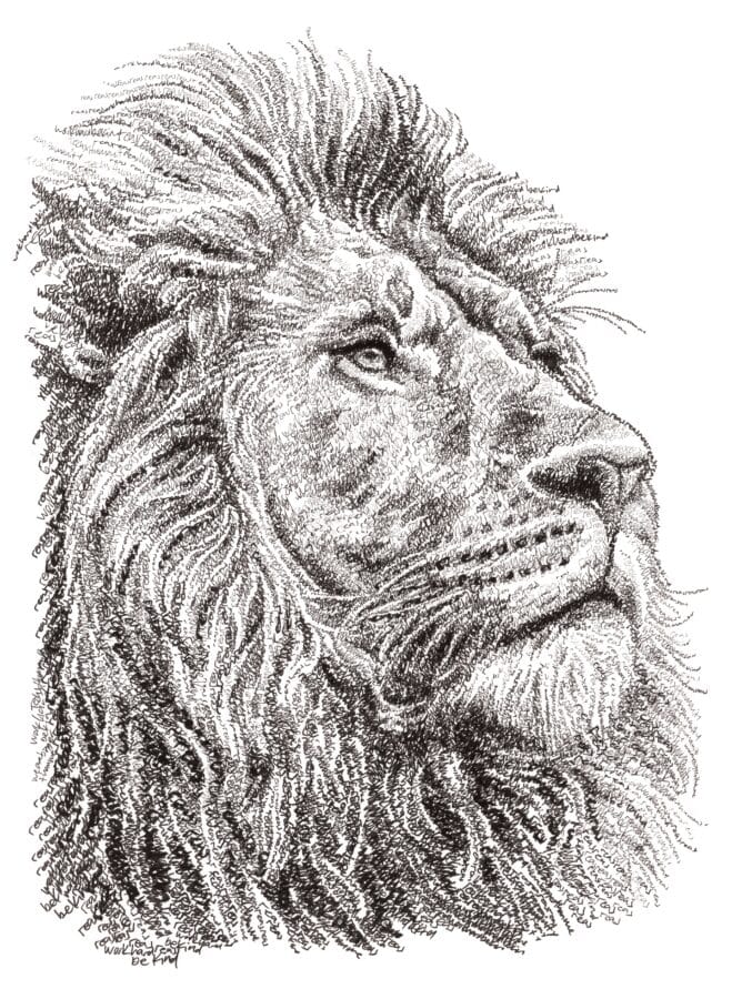 REAL Lion Print (18 x 24)